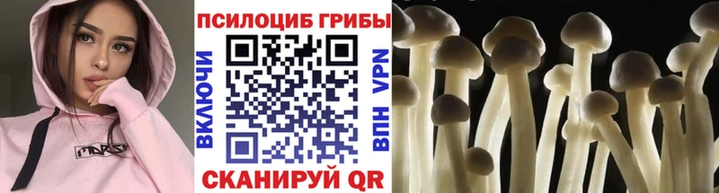 Галлюциногенные грибы мухоморы Козьмодемьянск