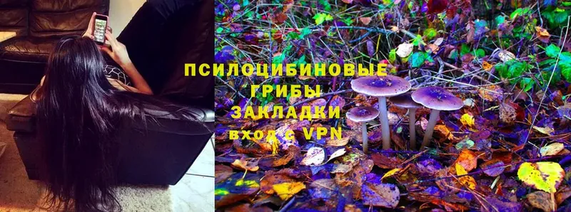 Псилоцибиновые грибы MAGIC MUSHROOMS  MEGA tor  Козьмодемьянск  продажа наркотиков 